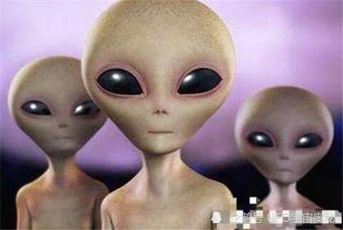 外星人最新爆料,宇宙奥秘与地球生命之谜